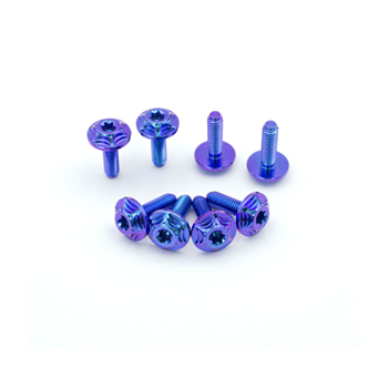 Gr5 Titanium Bolts