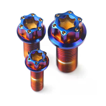  Gr5 Titanium Bolts (M6X30)