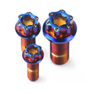  Gr5 Titanium Bolts (M6X30)