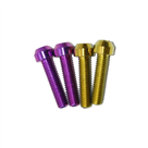 Titanium Bolt Gr5 M6 M8