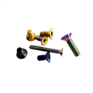 Gr5 Titanium Screw Titanium Bolts 